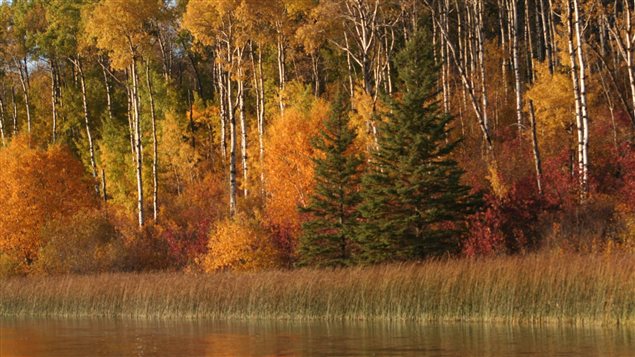 Canada’s grasslands include river valleys and wetlands. 