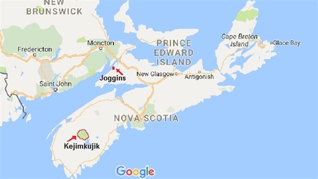 Clearcutting throughout Nova Scotia has been angering environmentalists for years. Recent clearcuts near the tiny community of Joggins, and around the Keji National Park are just the latest.