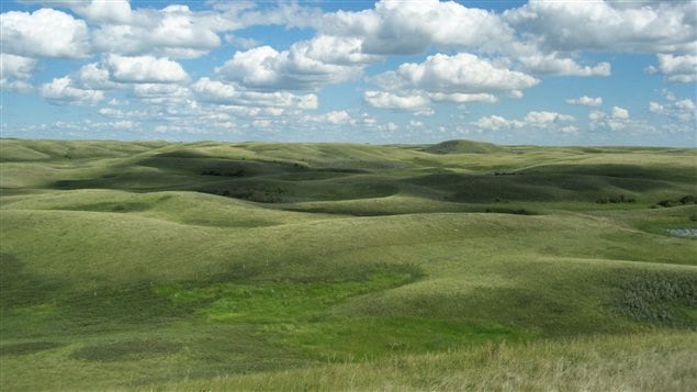 About 70 per cent of Canada’s grasslands have been lost.