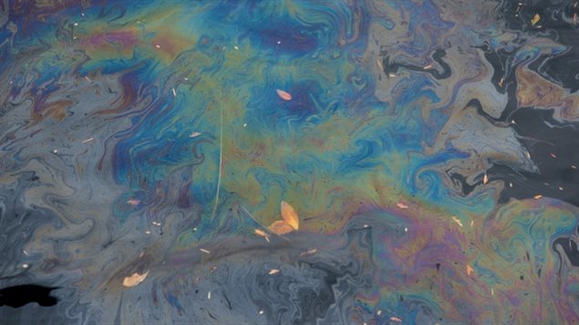 Heiltsuk土著人保留区附近海域被拖船外泄柴油污染