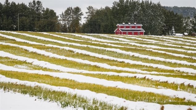 La formule de base du Programme de crédit de taxes foncières agricoles passera d'un taux à trois paliers vers un taux fixe de 78 % le 1er janvier 2017. Les producteurs redoutent son impact sur les fermes du Québec.