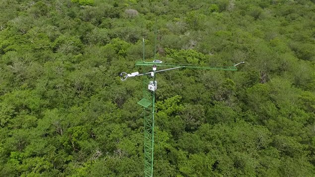 August 2016, Santa Rosa National Park, Environmental Monitoring Super Site, It is a system designed to measure the exchange of carbon between the atmosphere and the forest, it collects a series of micro-meteorological variables that, mathematically, can be translated into carbon sequestration by forests. One of four super sites operated by the University of Alberta