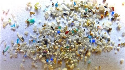 Des microbilles de plastiques Crédit photo : 5Gyres
