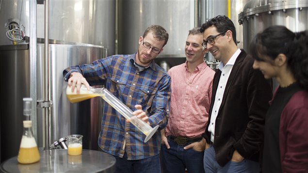 Le chimiste Euan Thomson (gauche) et le professeur Fraser Hof (lunettes) étudient la levure de bière. Le chimiste Euan Thomson (gauche) et le professeur Fraser Hof (lunettes) étudient la levure de bière.