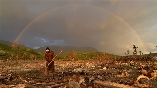 A man cuts wood to prepare charcoal with wood that was left over from damaged trees from Hurricane Matthew in the village of Damassin, in the commune of Coteaux, in the southwestern Haiti, on November 3, 2016.