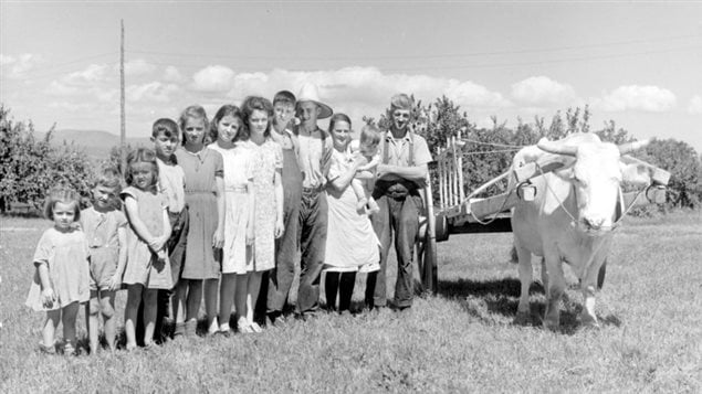 Les allocations familiales fédérales existaient depuis trois ans lorsque cette photo a été prise à l'île d'Orléans, en 1948. Les allocations familiales fédérales existaient depuis trois ans lorsque cette photo a été prise à l'île d'Orléans, en 1948.