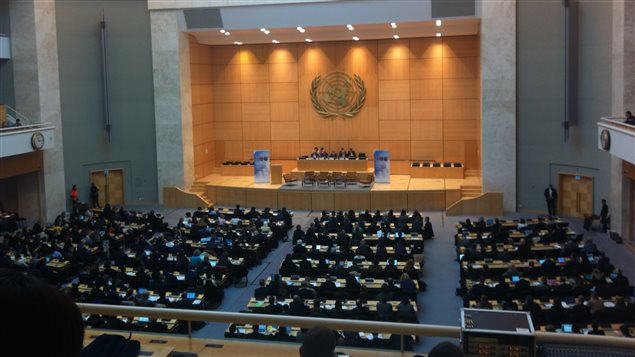 The coalition of NGOs presented the report last week to the United Nations in Geneva on the occasion of the 5th UN Annual Forum on Business and Human Rights.