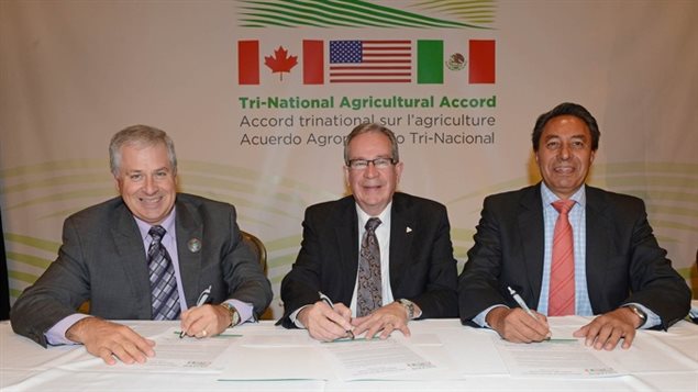 De izquierda a derecha, Mick Strain de EEUU, Jeff Leal de Ontario y Héctor Padilla Gutiérrez de México. 