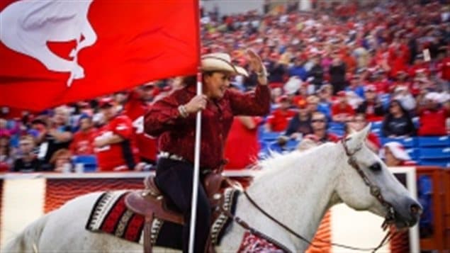 Quick Six the Touchdown Horse has also been turfed from BMO Field on Sunday.