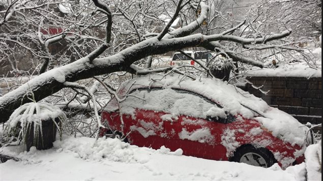 When snow is wet it can bring down tree branches on cars and on electrical lines causing power failures.