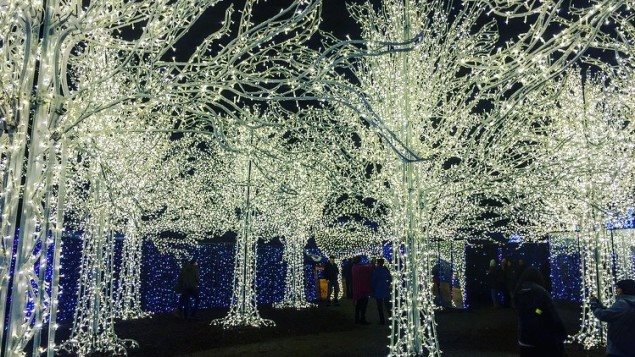 Encantamiento, Vancouver.