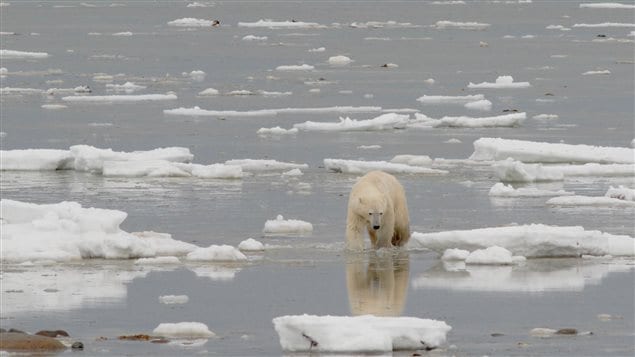 Melting Ice in Hudson Bay