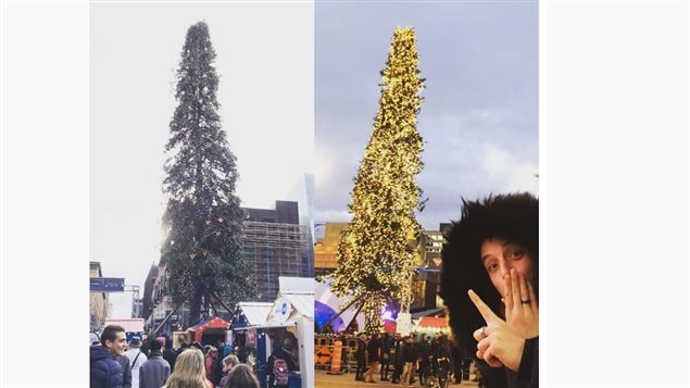 Montreal’s official Christmas tree, now the butt of jokes for being *ugly*.