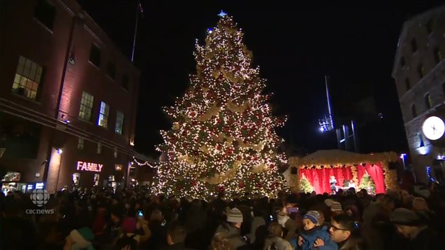 The Toronto Christmas tree 2015.