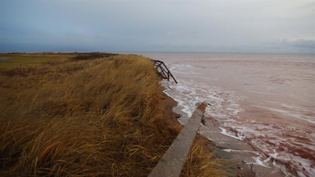 Recent storms damaged the boardwalk at Cedar Dunes Provincial Park by the lighthouse, The boardwalk used to be  several metres from the shore.