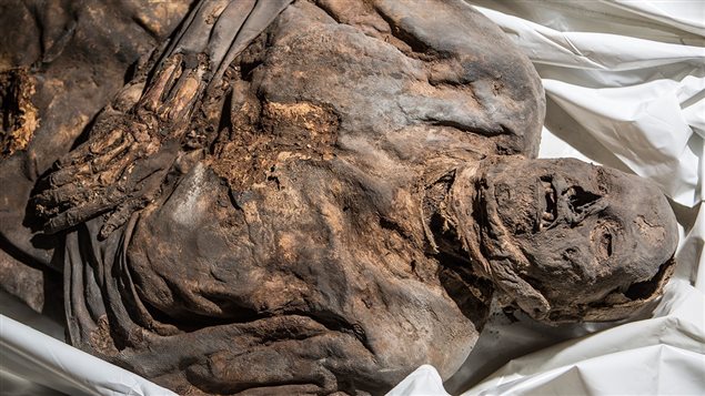 A mummy found in the same Lithuanian crypt where researchers extracted DNA from a small child, thought to have died of smallpox.  