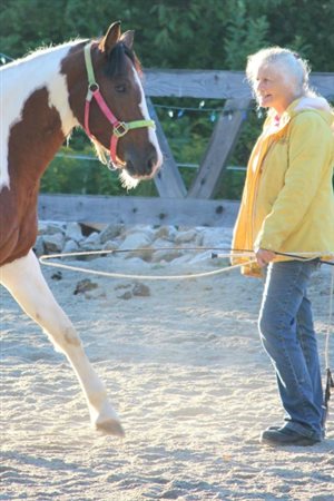 Patty McGill cannot leave her five horses to be with family in a neighboring province.