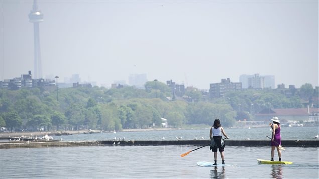 Two women use paddle boards on Lake Ontario just off the boardwalk along Lakeshore Blvd., in Toronto on Tuesday, May 31, 2011.