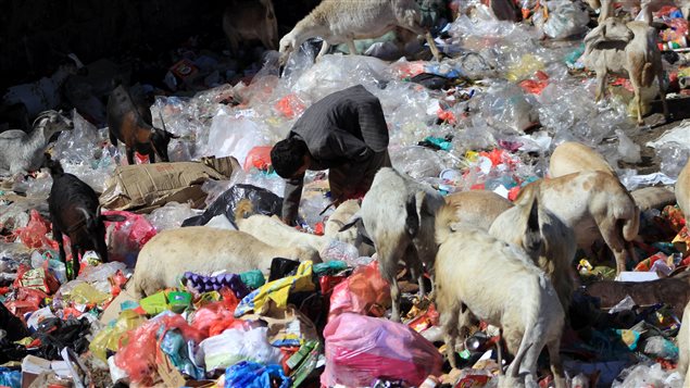 طفل يمنيّ يبحث عن الطعام في القمامة