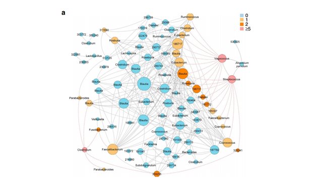 Interaction network of differentially abundant bacteria in the gut (operational taxonomic unit- OTUs; each node represents an OTU and are sized according to their number of interactions; each edge denotes a significant co-exclusion (red)or co-occurence (grey) relationship between OTUs. Nodes are coloured by their number of significant co-exclusions