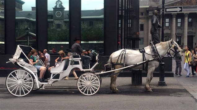 The horse-drawn carriage is popular with tourists visiting Montreal.