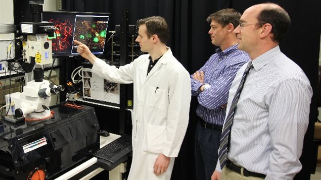 L-R: Researchers Robert Paproski, John Lewis and Roger Zemp co-authored a study that shows how focused ultrasound along with particles called nanodroplets can be used for the enhanced detection of cancer biomarkers in the blood.