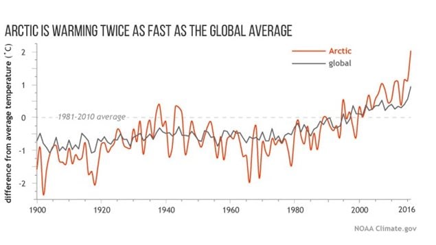 Yearly temperatures since 1900 compared to the 1981-2010 average for the Arctic (orange line) and the globe (gray). NOAA Climate.gov map based on NCEP reanalysis data from NOAA’s Earth System Research Lab. 