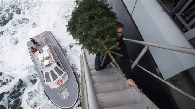 Steve Hnatko of Tymac Tidal Transport carries a Christmas tree to the Hanjit Scarlet container ship. It is part of more than a tonne of goods donated to the crew.