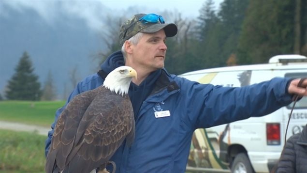 Rob Hope with the Orphaned Wildlife Rehabilitation Society holds up a bald eagle he's taken care of for the past 14 years.  