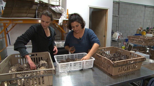 Co founders (L) Lysiane Roy Maheu and (R)Dominique Lynch-Gauthier in their warehouse operation in central Montreal