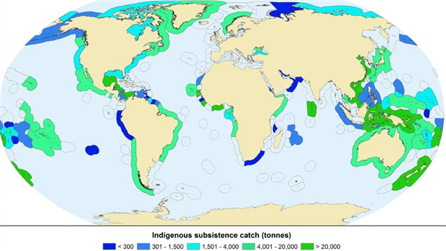 Consumo mundial de alimento marino por las comunidades indígenas costeras. Por año y en toneladas.