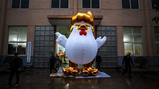 鸡年将至，中国一些城市出现5米高的“川普鸡”。