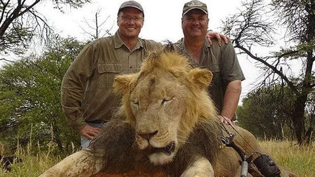 Walter Palmer (left) a dentist from Minnesota and the highly controversial killing of Cecil the lion.