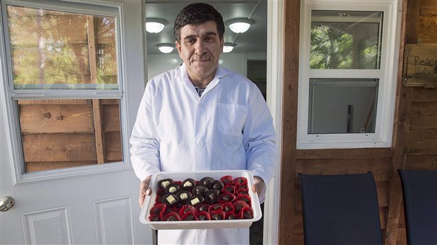 Family member Assam Hadhad displays a tray of chocolates in front of the Peace by Chocolate shop in Antigonish.