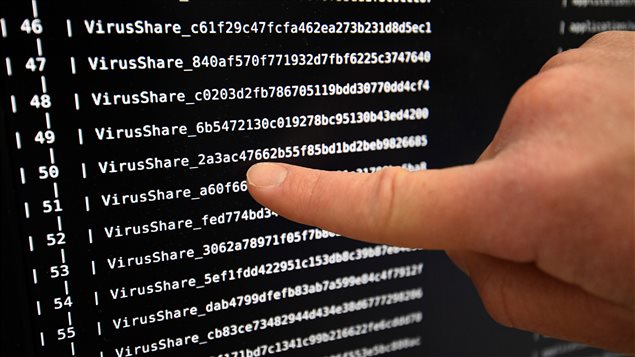 Los virus conocidos como