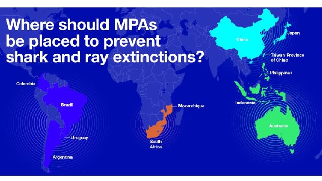 The study says protected areas should be establishtChina, Japan ans south Asian areas, Australia, South Africa and eastern coast regions, and Atlantic and Pacific areas of South America