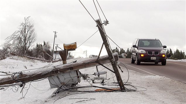 El peso del hielo fue demasiado para los postes de electricidad y teléfono.