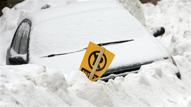 Estacionar, todo un desafío para los automovilistas en la ciudad.