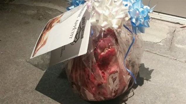 Une tête de porc a été déposée l'été dernier devant une des portes du centre culturel islamique de Québec. Une tête de porc a été déposée l'été dernier devant une des portes du centre culturel islamique de Québec.