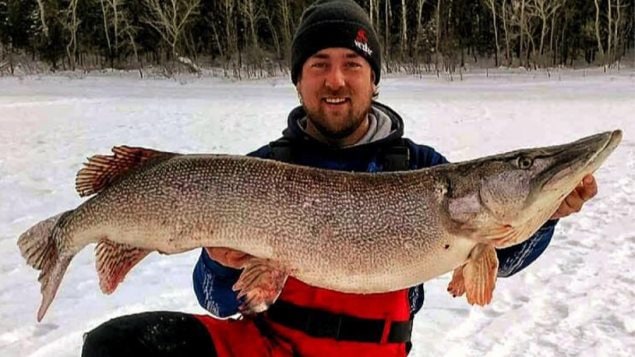 视频：看加拿大魁省一男子如何钓上15 公斤大鱼