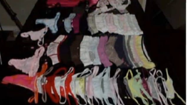 Some of the hundreds of stolen undergarments presented as evidence at Williams' trial