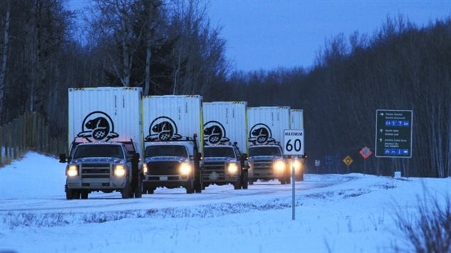 First, trucks transported the 16 bison in their shipping containers.