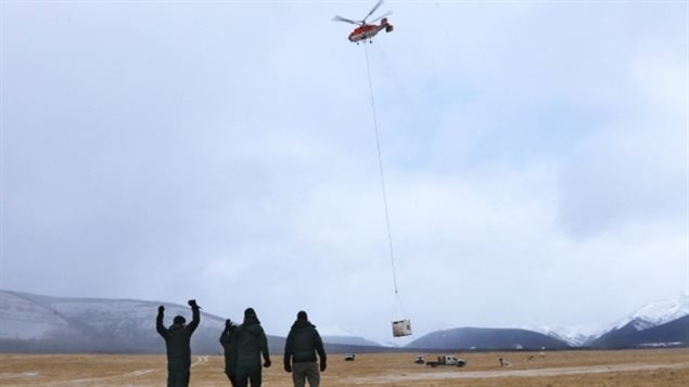 The containers were then moved by helicopter to the remote enclosure.