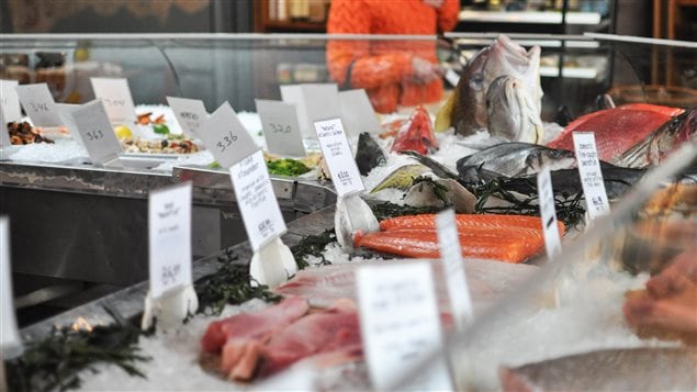 Studies have shown that seafood fraud is an issue in Canada, impacting our health, our wallets and our oceans, says Oceana Canada.