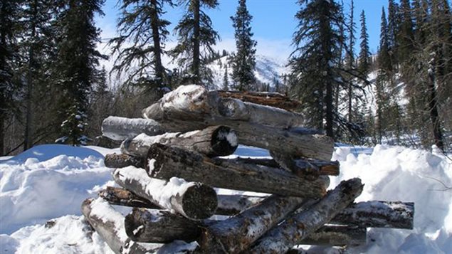 The cairn commemorating RCMP Constable Millen, shot by Johnson in January 1931 is located on Millen Creek, a tributary stream of the Rat River in the Northwest Territories. A simple 3-sided pyramid of weathered logs sits in a clearing fringed by black spruce in a narrow stream cut valley overhung by willow and alder. It is a remote place, 40 kilometres northwest of Fort McPherson, the nearest community. The surrounding hills rise a hundred metres above the cairn.