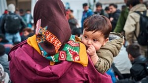 Des réfugiés Photo : iStock/Jorde Angjelovik