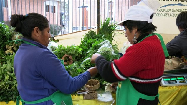Proyecto Red Prausa de SUCO para el desarrollo y fomento de la agricultura sostenible en Perú.