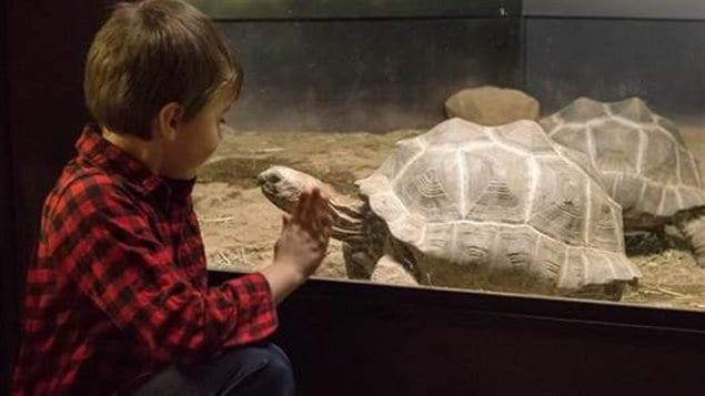 What could be better on school break than seeing reptiles up close?