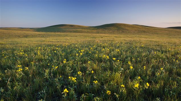 Un paysage du sud de la Saskatchewan Un paysage du sud de la Saskatchewan