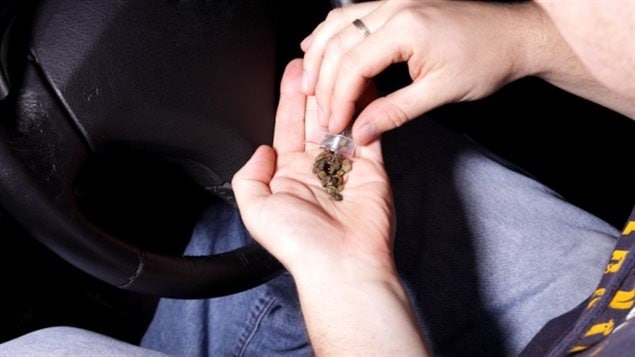 One in ten drivers tested positive for drugs in a survey conducted in western Canada.